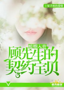 暖婚入骨:顾先生的契约宝贝
