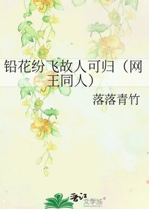 铅花纷飞故人可归(网王同人)