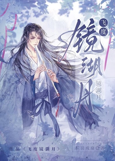 飞度镜湖月